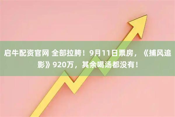 启牛配资官网 全部拉胯！9月11日票房，《捕风追影》920万，其余喝汤都没有！
