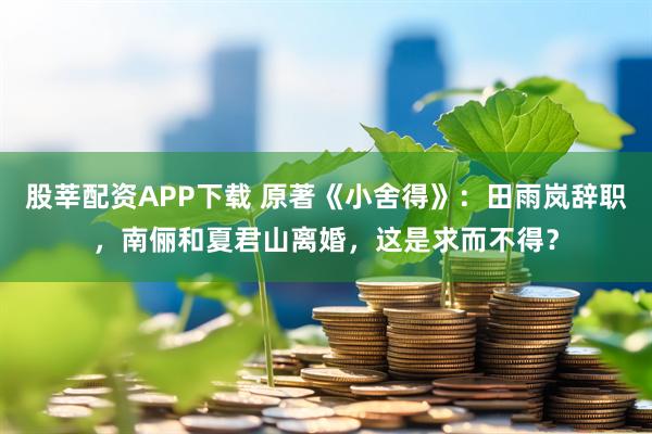 股莘配资APP下载 原著《小舍得》：田雨岚辞职，南俪和夏君山离婚，这是求而不得？